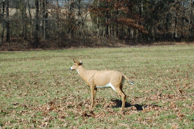 So You Want to Try a Deer Decoy