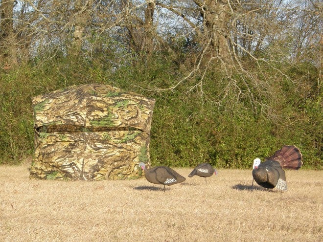 Ground Blinds are Back in Vogue