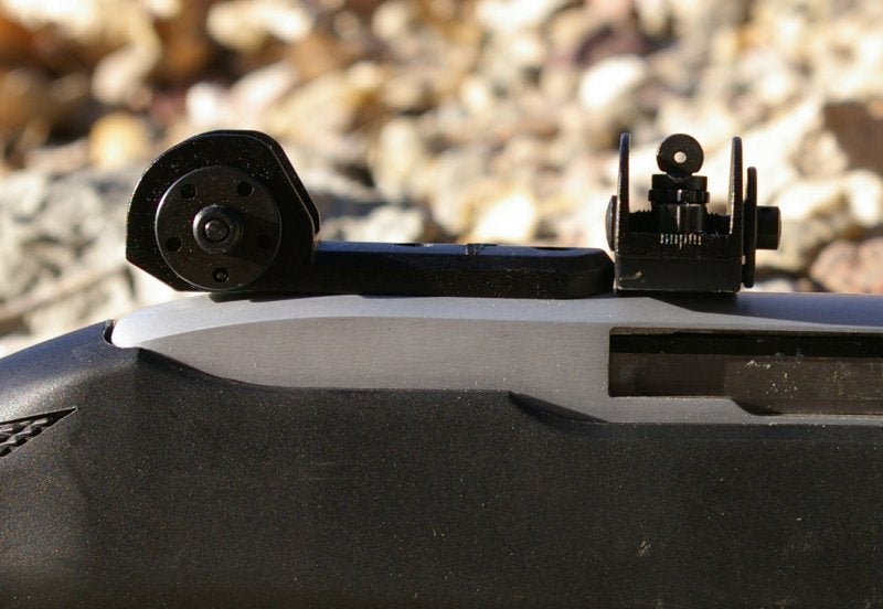ruger 10/22 iron sight options