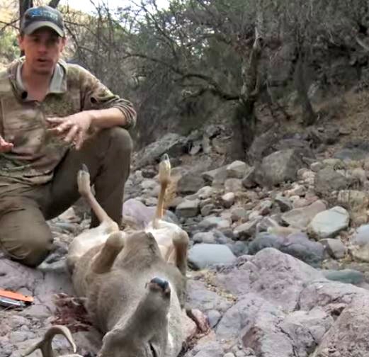 VIDEO: How To Field Dress A Deer. Got Any Cool Tricks?