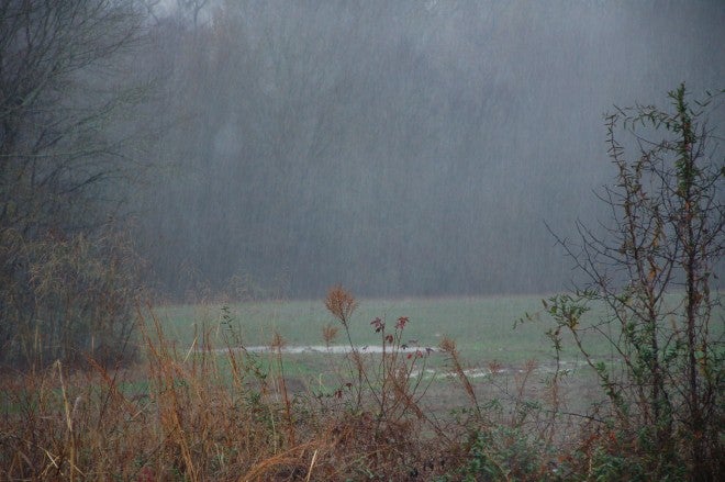 How to Deal with Bad Weather when Deer Hunting