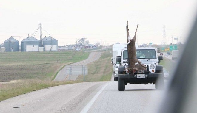 Only in Texas? Big Buck Hangs While Hauled Down Highway