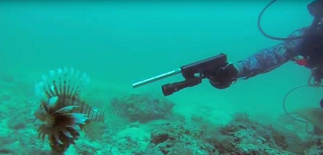 Watch: Glock Fishing for Lionfish