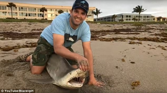 Donald Trump Jr. & Sons Catch-And-Release Sharks, Take Heat From Haters