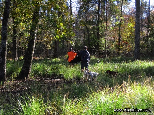 Preppers: Using Dogs to Hunt Wild Pigs