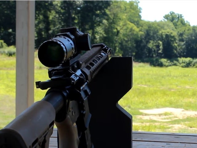 Watch: Primary Arms ACSS Scope Review
