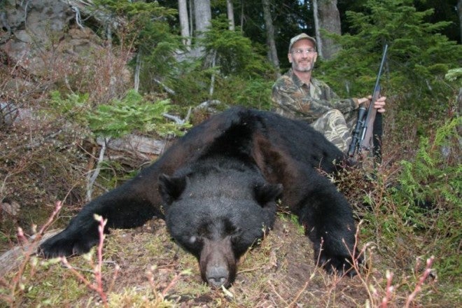 CamoTherapy: the right bear