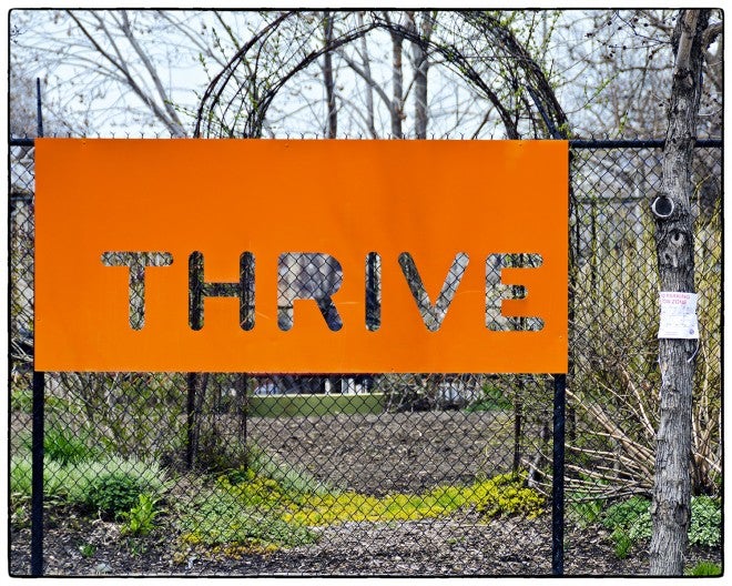 Chicago housing project turned into urban farm