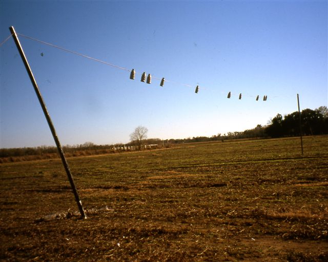 Doves, On A Wire