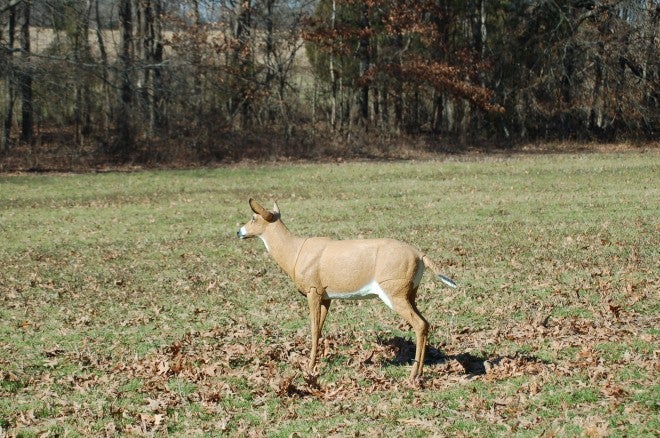 So You Want to Try a Deer Decoy - AllOutdoor.com