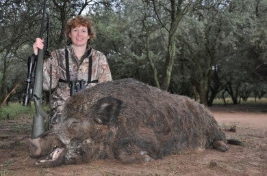 European boars are a common “side effect” while hunting red stag in Argentina.