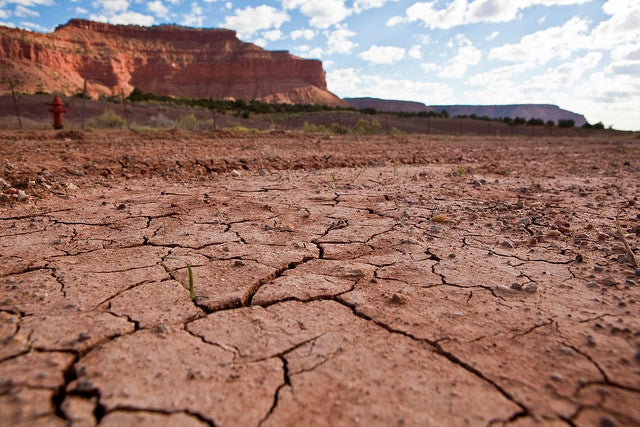 Experts: The Price of Food Could Double in Five Years