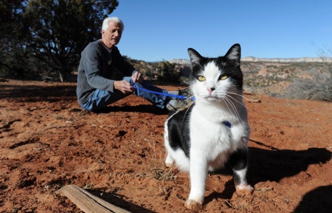 An Unlikely Hiking Partner