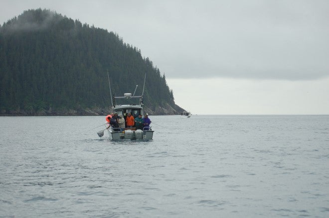 Short Course on Seward Salmon