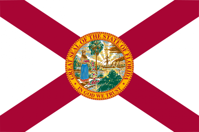 Summary of Florida’s New Anti-Gun Law