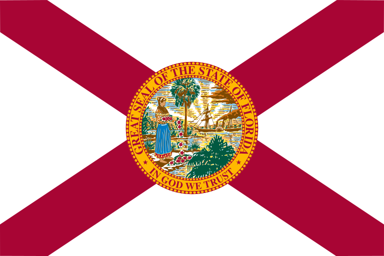 Summary of Florida’s New Anti-Gun Law Summary of Florida’s New Anti-Gun Law