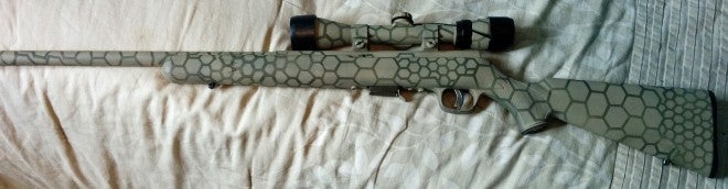 Here's an overall pic of the hexagon-painted rifle