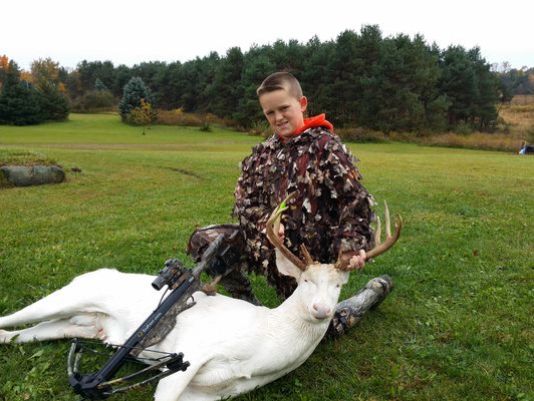 Albino Deer: Kill Them or Leave Them?