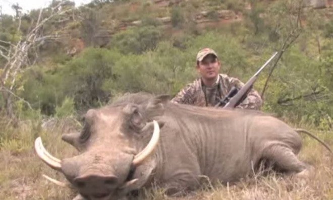 VIDEO: Warthog Hunt – Amazing Shot