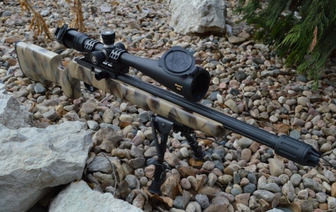 Build Review: Custom 10/22 Long Range Tack Driver