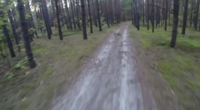 Watching This Made me Never Want to Bike in the Woods Again