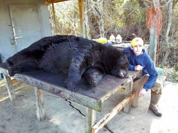 Teen’s First Bear Hunt Nets Second-Biggest NC Black Bear Ever