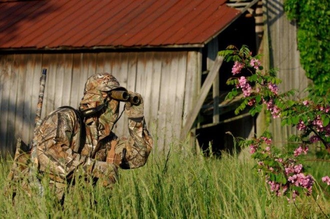 Advanced Turkey Scouting Tips