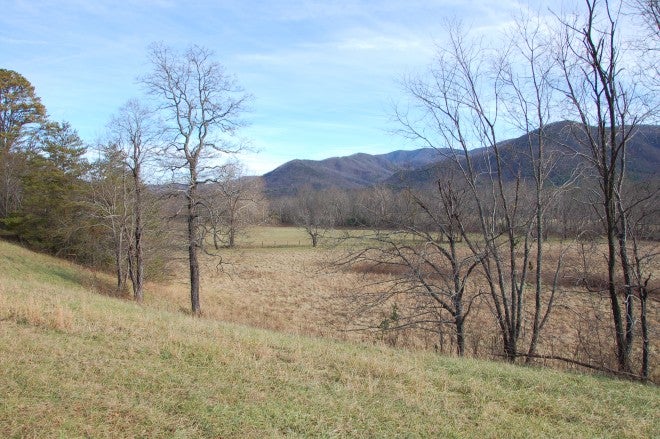 Trip Report: Great Smoky Mountains National Park is a National Treasure