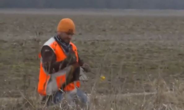 Hunter Throws his Bow at a Pheasant With an Arrow Stuck in It
