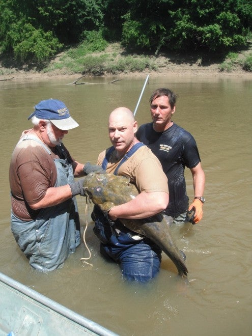 The Masters of Handgrabbing Catfish