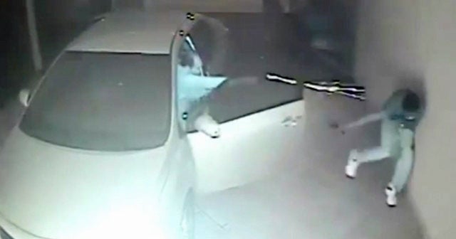 Video: Brazilian Bad Guys Break Into the Wrong Garage