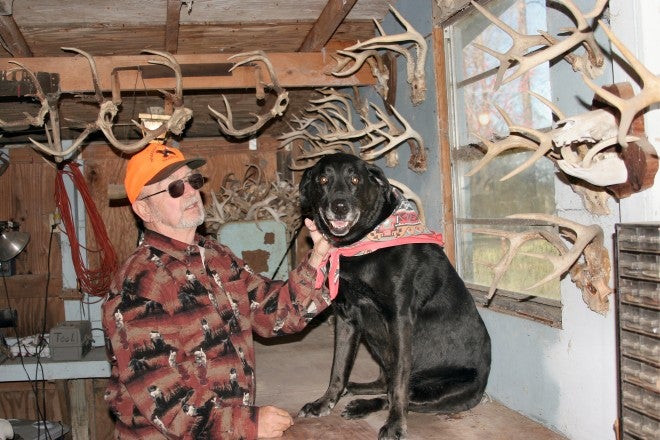 Living Off the Land: Gun Dogs for Finding Deer and Wild Hogs