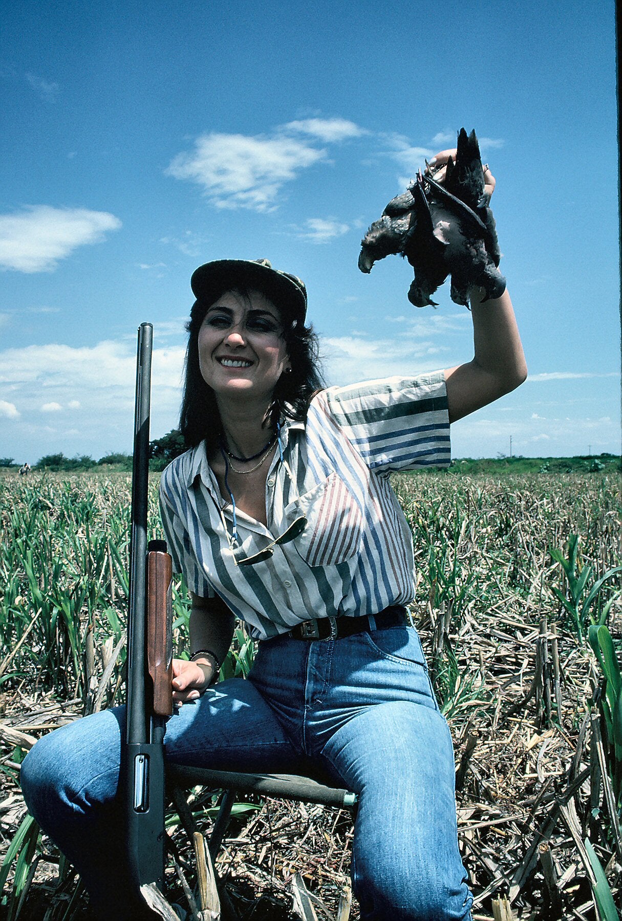 Dove Hunting Dos and Don’ts, Part 1 Dove Hunting Dos and Don’ts, Part 1