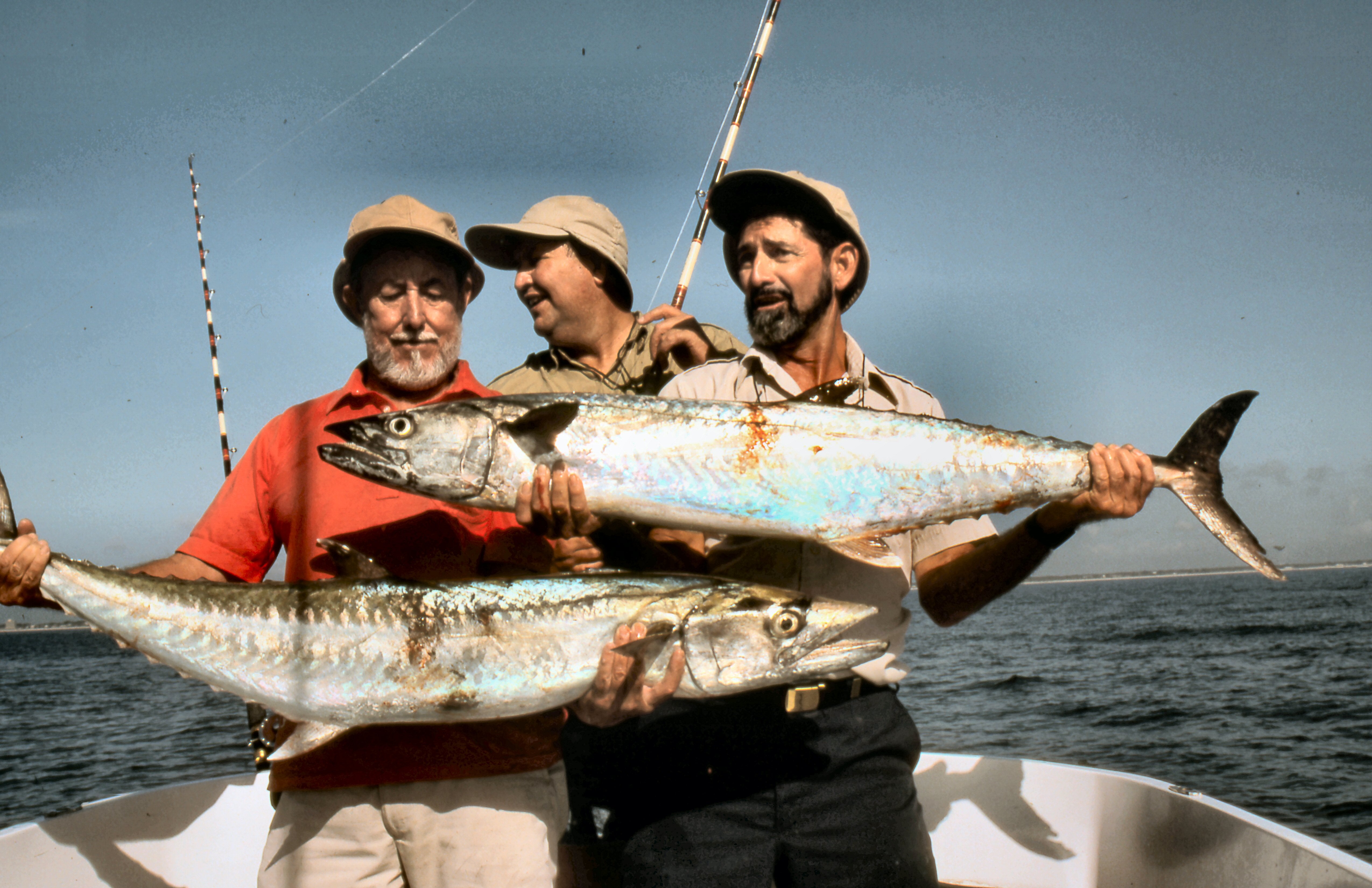 Mackerel: The Kings of South Carolina