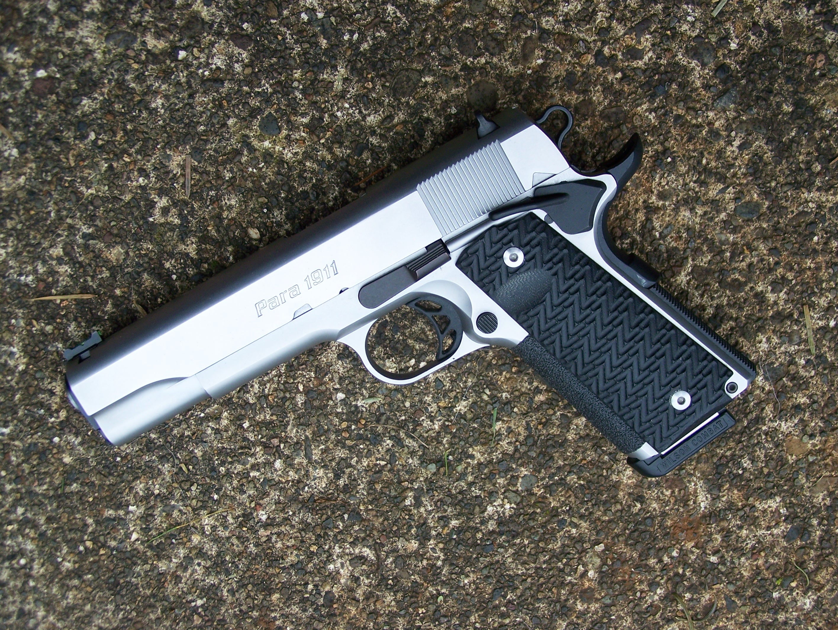 Gun Review: Para USA “Expert” Gun Review: Para USA “Expert”