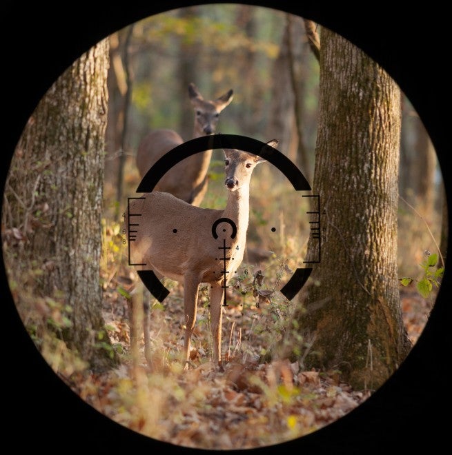 deer_in_scope_0507