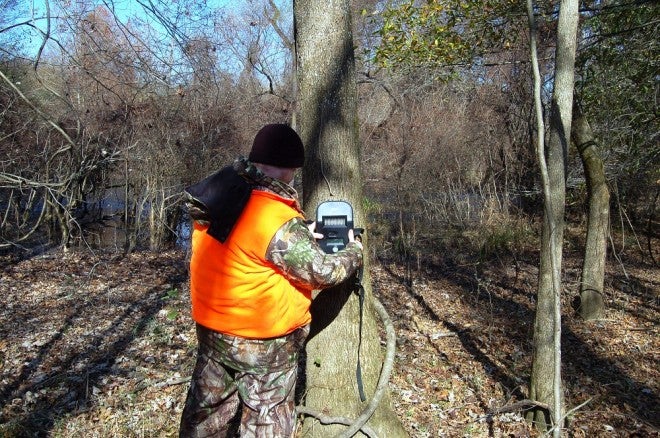 What Trail Cams Can Tell You