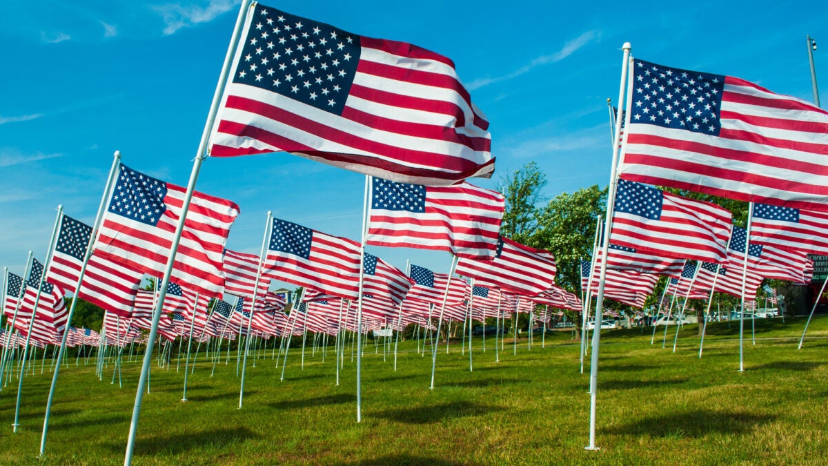 AllOutdoor Memorial Day Hunting Bonanza 2023 - Rifles, Ammo, Scopes