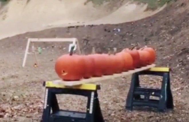 How Bulletproof are Pumpkins? (Video)