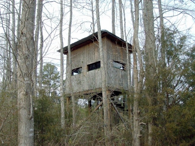 Is There an Ideal Tree Stand Height?