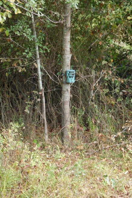 Trail Camera Hanging Hotspots