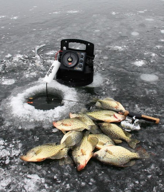 Electronics for “Hard” Water