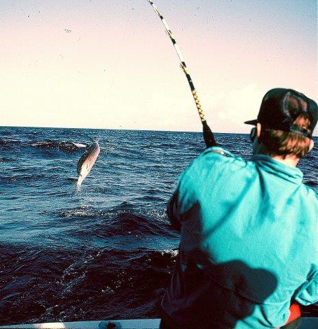 Sailfishing Time in Southeast Florida