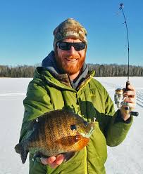 Panfish on the Rocks