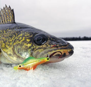 Walleye Ice Fishing Tactics