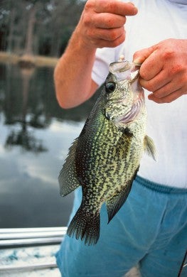 2, McNally Crappies 2-28-16