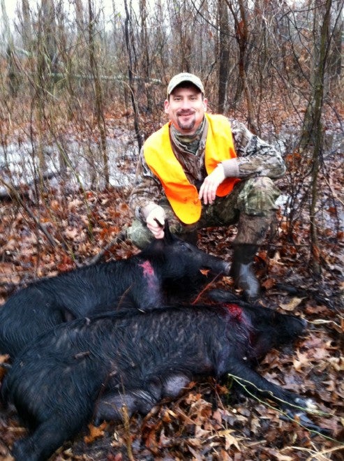 Wild Hogs and Collateral Hunting Opportunities