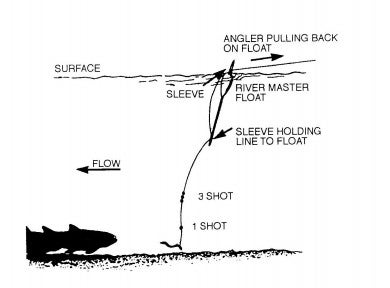 Fig. 1, Sec. 4, Lesson 6, Pg. 2, Trout