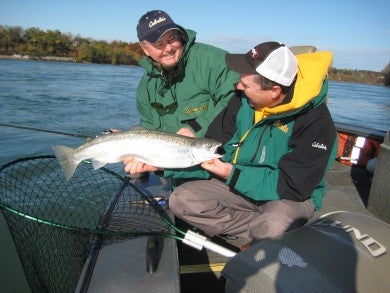 Niagara River Steelhead