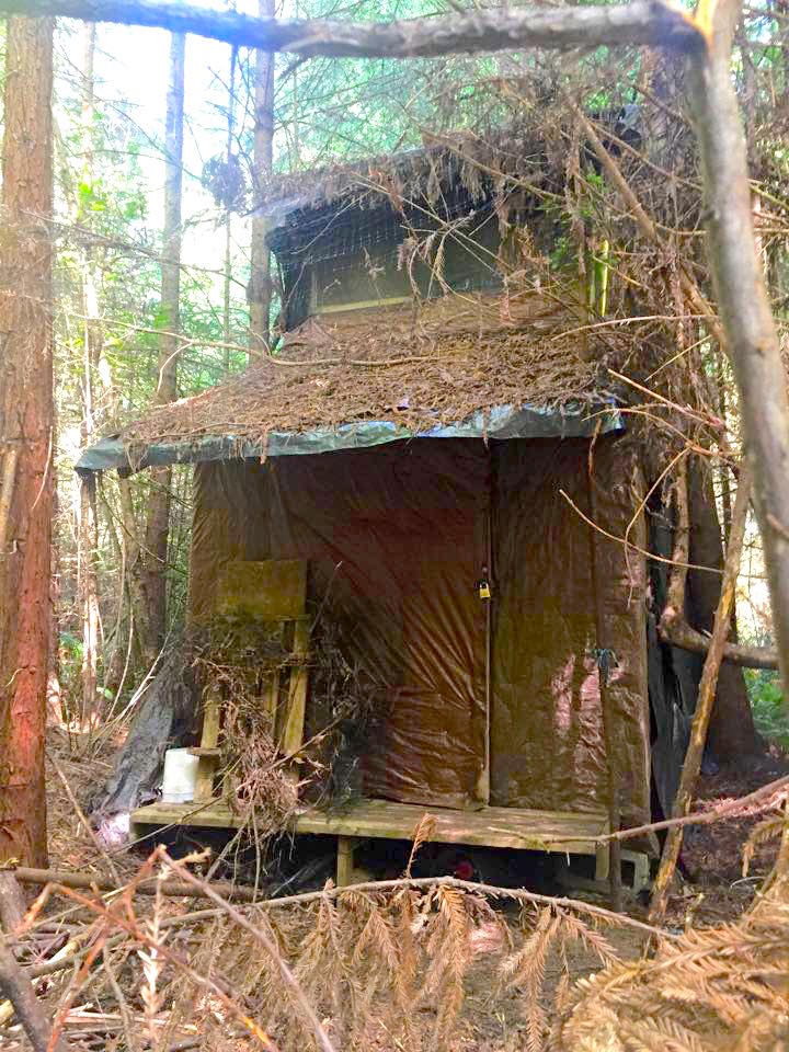 The Incredible (Dis)Appearing Bug-Out Shack The Incredible (Dis)Appearing Bug-Out Shack
